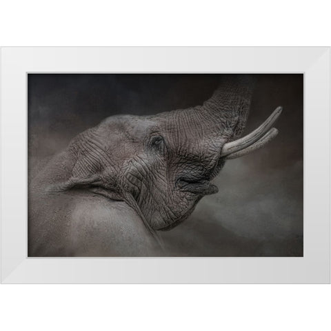 Rising Above White Modern Wood Framed Art Print by Parker, Kelley