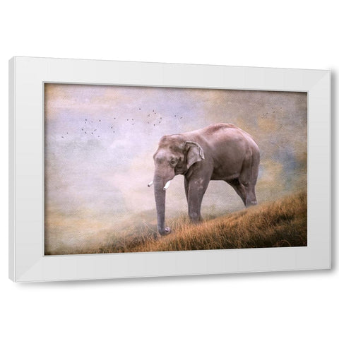 Silent Traveler White Modern Wood Framed Art Print by Parker, Kelley