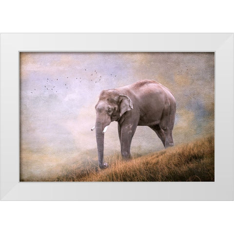 Silent Traveler White Modern Wood Framed Art Print by Parker, Kelley
