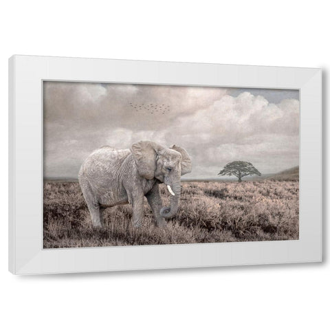 Time to Move On White Modern Wood Framed Art Print by Parker, Kelley