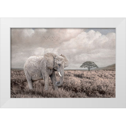 Time to Move On White Modern Wood Framed Art Print by Parker, Kelley