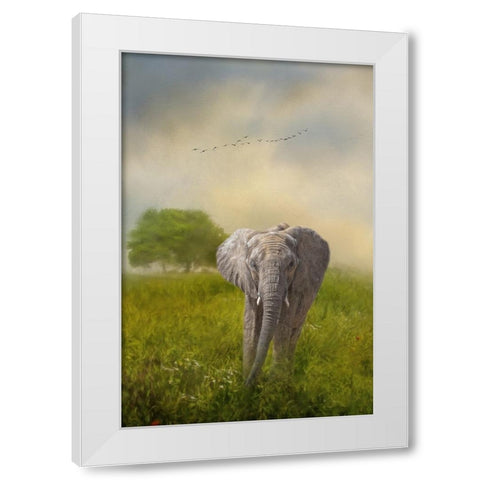 Solo Approach White Modern Wood Framed Art Print by Parker, Kelley