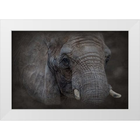 Textured White Modern Wood Framed Art Print by Parker, Kelley