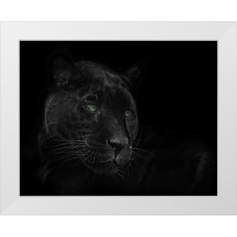 Green Eyed Beauty White Modern Wood Framed Art Print by Parker, Kelley