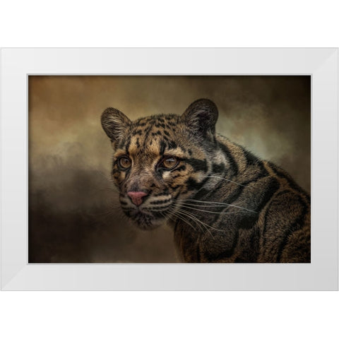 Locked On White Modern Wood Framed Art Print by Parker, Kelley