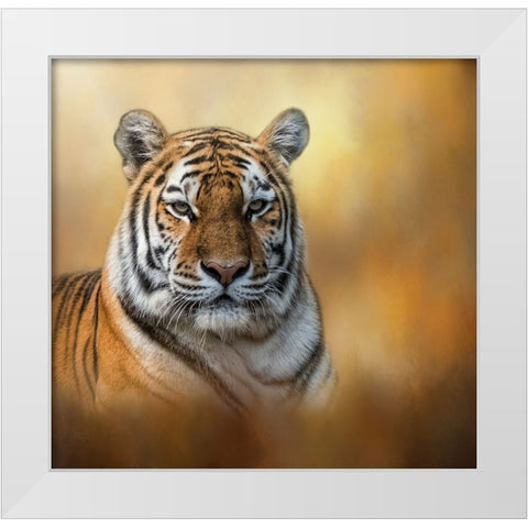 Tiger Queen White Modern Wood Framed Art Print by Parker, Kelley