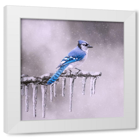 Cold Feet White Modern Wood Framed Art Print by Parker, Kelley