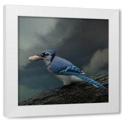 Rainy Day Snack White Modern Wood Framed Art Print by Parker, Kelley