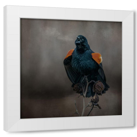 Bird Breath White Modern Wood Framed Art Print by Parker, Kelley