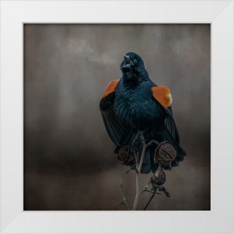 Bird Breath White Modern Wood Framed Art Print by Parker, Kelley