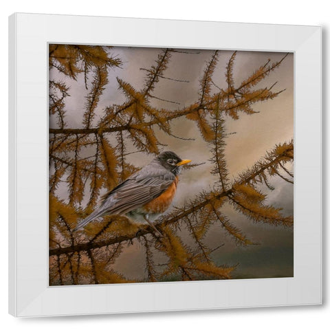 Early Bird White Modern Wood Framed Art Print by Parker, Kelley