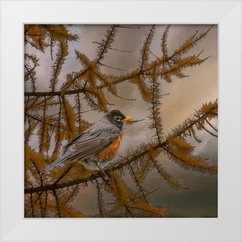 Early Bird White Modern Wood Framed Art Print by Parker, Kelley