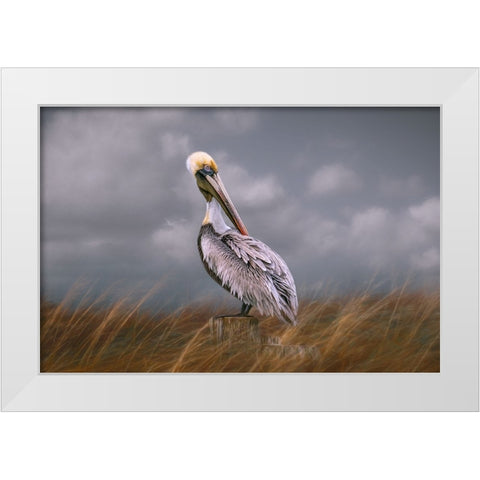 Pelican Way White Modern Wood Framed Art Print by Parker, Kelley