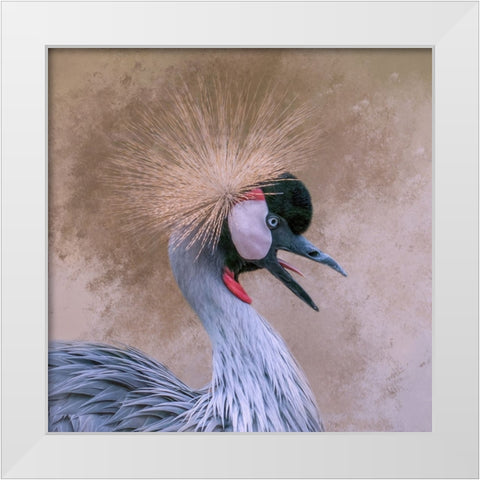 Crowned White Modern Wood Framed Art Print by Parker, Kelley