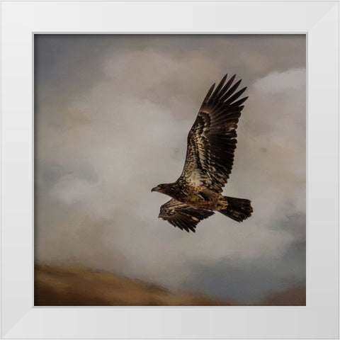 Morning Hunter White Modern Wood Framed Art Print by Parker, Kelley