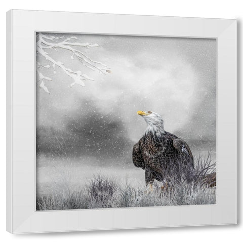 Winter Daydreaming White Modern Wood Framed Art Print by Parker, Kelley
