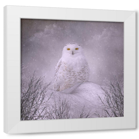 Winter Wonderland White Modern Wood Framed Art Print by Parker, Kelley