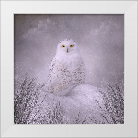 Winter Wonderland White Modern Wood Framed Art Print by Parker, Kelley