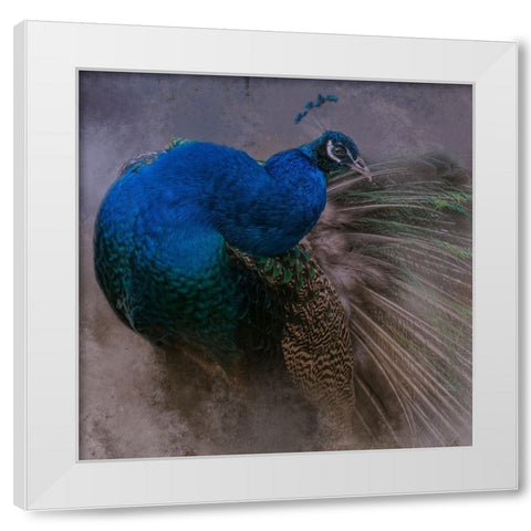 Natural Beauty White Modern Wood Framed Art Print by Parker, Kelley