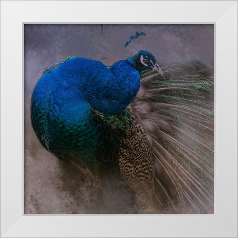 Natural Beauty White Modern Wood Framed Art Print by Parker, Kelley