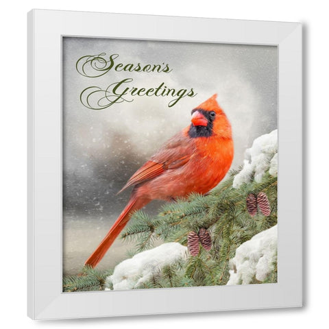 Seasons Greetings White Modern Wood Framed Art Print by Parker, Kelley