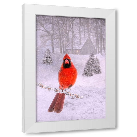 Cardinal Peace White Modern Wood Framed Art Print by Parker, Kelley