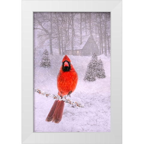Cardinal Peace White Modern Wood Framed Art Print by Parker, Kelley