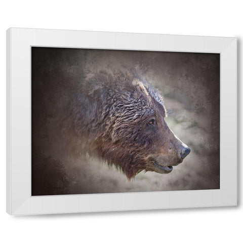 Grizzly Bear Boar White Modern Wood Framed Art Print by McFerrin, Larry