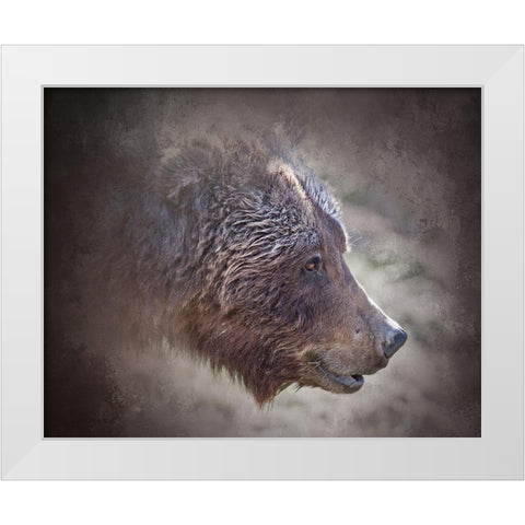 Grizzly Bear Boar White Modern Wood Framed Art Print by McFerrin, Larry