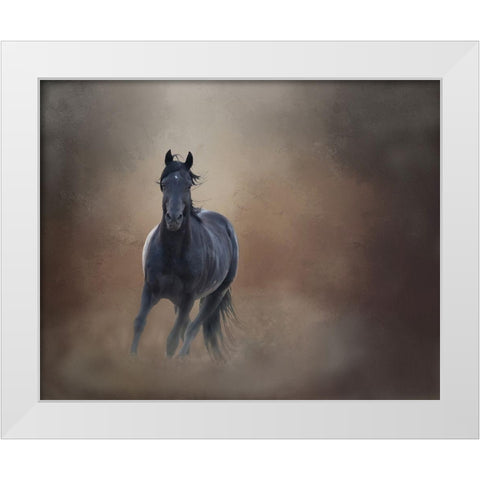 Knighthawk - S Steens Wild Stallion White Modern Wood Framed Art Print by McFerrin, Larry