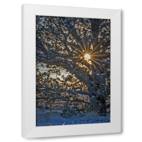 New Years Steens Mountain Sunrise White Modern Wood Framed Art Print by McFerrin, Larry
