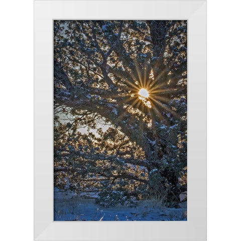 New Years Steens Mountain Sunrise White Modern Wood Framed Art Print by McFerrin, Larry