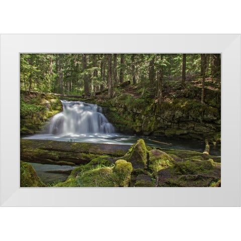 Whitehorse Falls White Modern Wood Framed Art Print by McFerrin, Larry