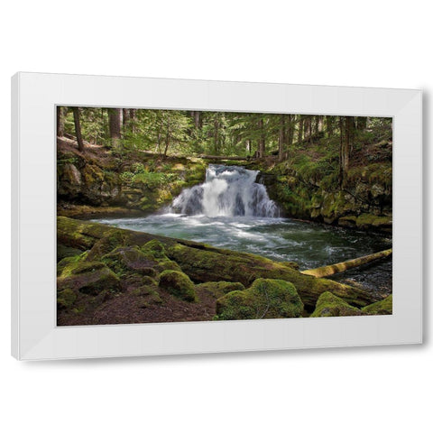 Whitehorse Falls White Modern Wood Framed Art Print by McFerrin, Larry