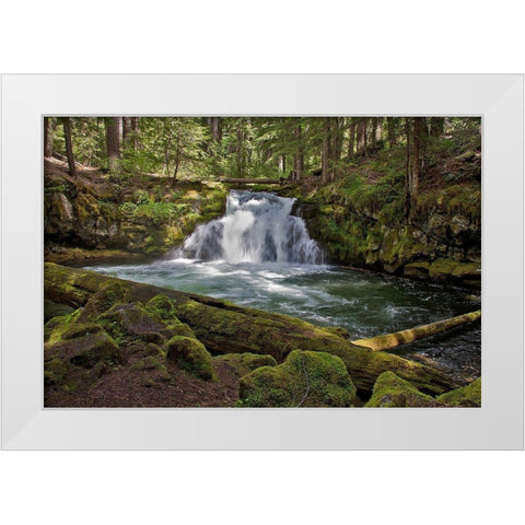 Whitehorse Falls White Modern Wood Framed Art Print by McFerrin, Larry