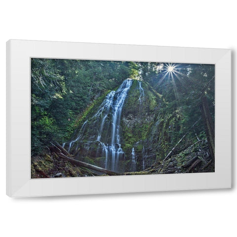 Lower Proxy Falls White Modern Wood Framed Art Print by McFerrin, Larry