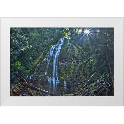 Lower Proxy Falls White Modern Wood Framed Art Print by McFerrin, Larry