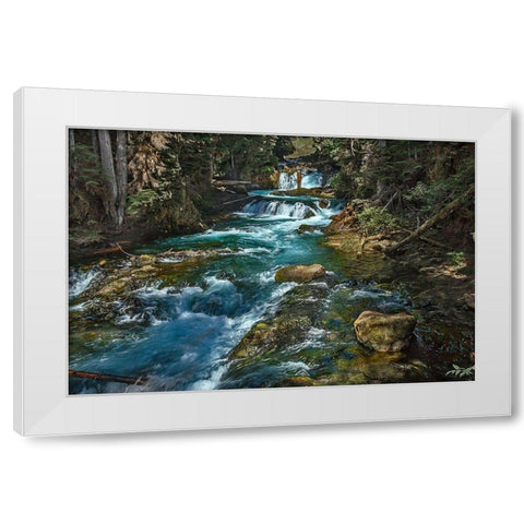 McKensie River White Modern Wood Framed Art Print by McFerrin, Larry