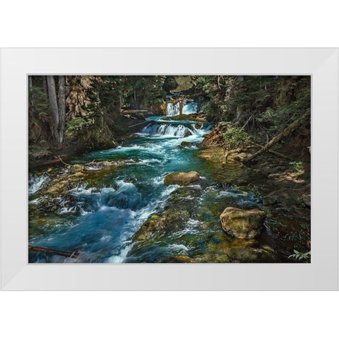 McKensie River White Modern Wood Framed Art Print by McFerrin, Larry