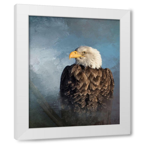 Bald Eagle White Modern Wood Framed Art Print by McFerrin, Larry
