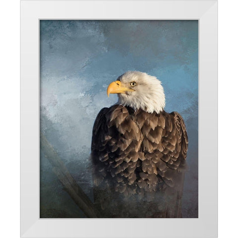 Bald Eagle White Modern Wood Framed Art Print by McFerrin, Larry