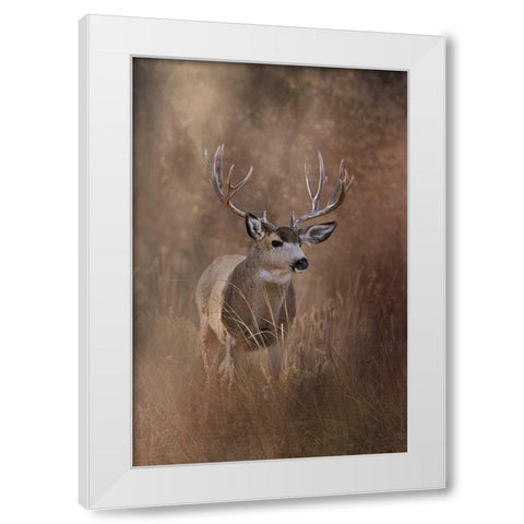 Muley - Malheur White Modern Wood Framed Art Print by McFerrin, Larry