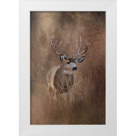 Muley - Malheur White Modern Wood Framed Art Print by McFerrin, Larry