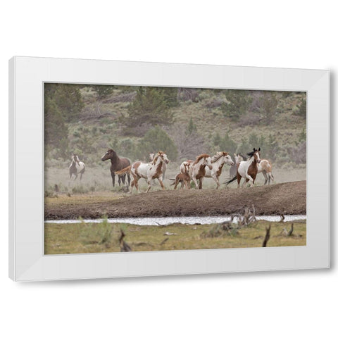 Ditto-Galileo Band White Modern Wood Framed Art Print by McFerrin, Larry