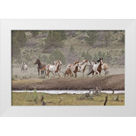 Ditto-Galileo Band White Modern Wood Framed Art Print by McFerrin, Larry