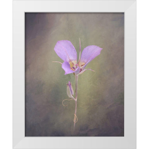 Sagebrush Mariposa Lily White Modern Wood Framed Art Print by McFerrin, Larry