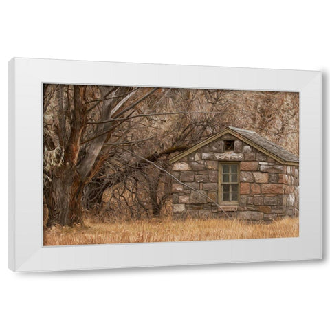Stone Cabin White Modern Wood Framed Art Print by McFerrin, Larry