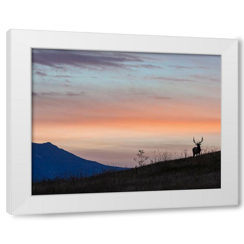 Elkscape White Modern Wood Framed Art Print by McFerrin, Larry