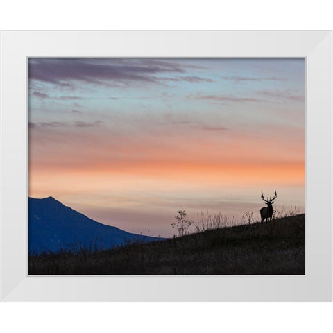 Elkscape White Modern Wood Framed Art Print by McFerrin, Larry