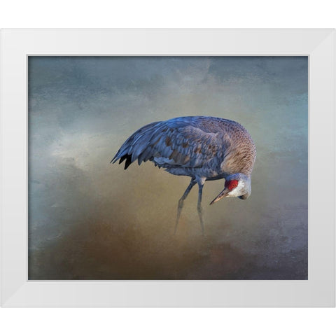 Sandhill Crane White Modern Wood Framed Art Print by McFerrin, Larry